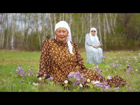 Видео: Клип "Кустук" түмсүү "Оһуохай" ырыа. Кириэстээх 2025 сыл