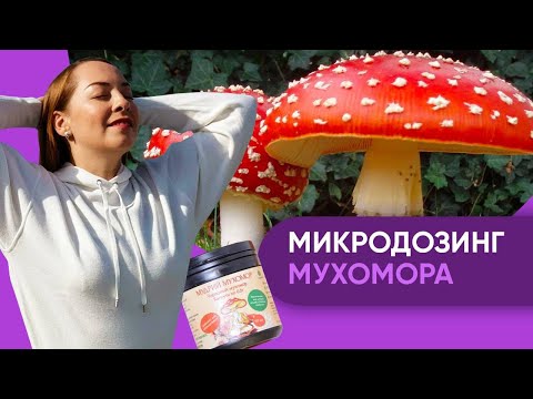 Видео: Микродозинг мухомора. Кому, зачем, для чего? И эффективно ли? @evropapsi