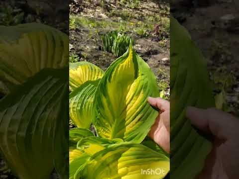 Видео: Работа с новым пространством