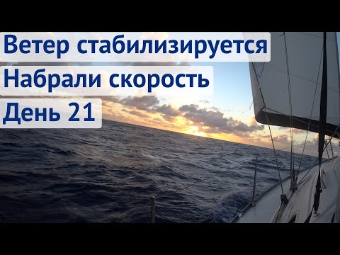 Видео: Стабилизировался ветер, набрали хорошую скорость | Трансатлантика день 21