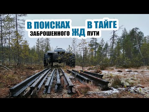 Видео: В поисках заброшенного узкоколейного железнодорожного пути в тайге на вездеходе