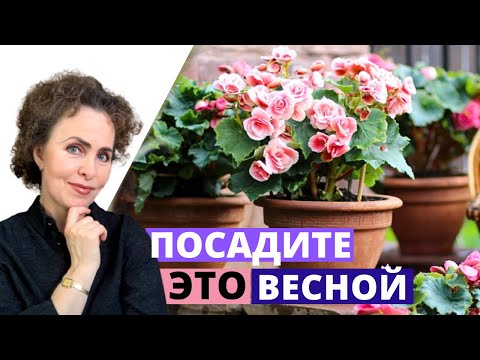 Видео: ЧТО посадить весной
