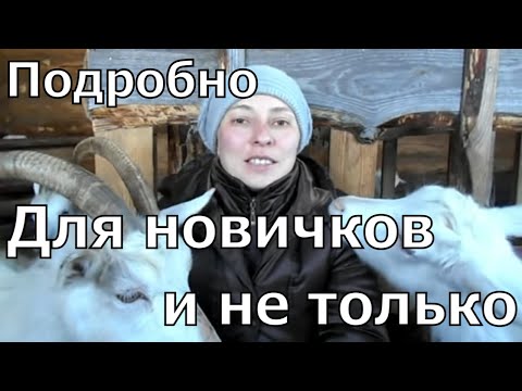 Видео: Всё про окот козы. От покрытия козы до содержания козлят