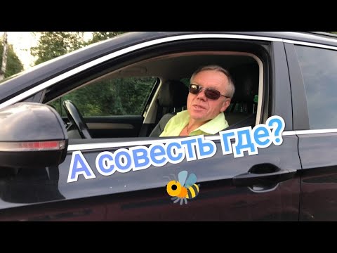 Видео: Держим обочину. (Выпуск 6). Бессовестные 🐝