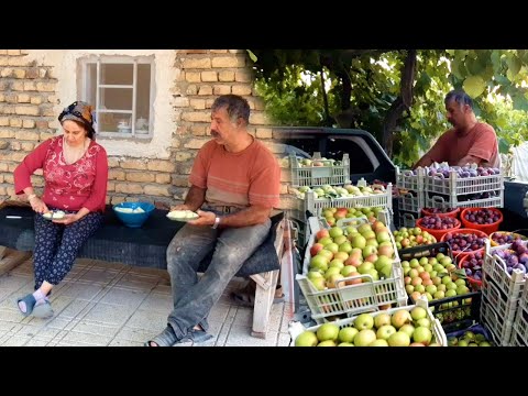 Видео: «Безмятежность сада: сбор слив, поедание дынь и вишнёвый чай в деревенской жизни»