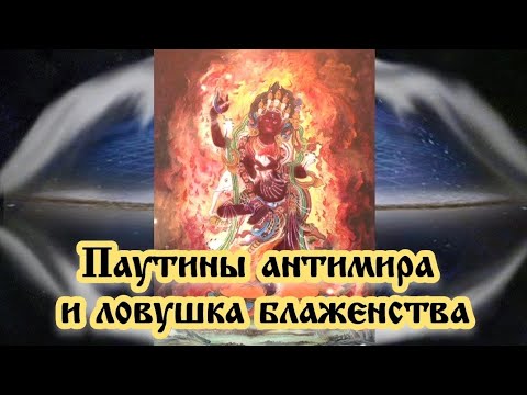 Видео: Паутины антимира и ловушка блаженства 30.10.2024 🌚⚡🌞