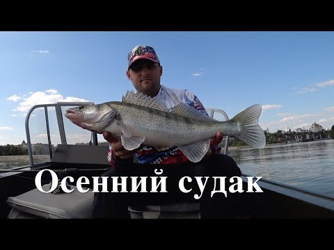 Видео: СУДАК НА ДЖИГ. ЛОВЛЯ С ПЕРЕГРУЗОМ. Мастер класс от спортсмена.
