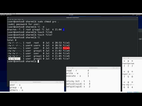 Видео: 20. Права на файлы (RHCSA)
