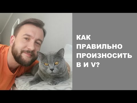 Видео: Как правильно читать буквы B и V. Правда ли, что они читаются одинаково?