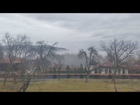 Видео: Един мой ден