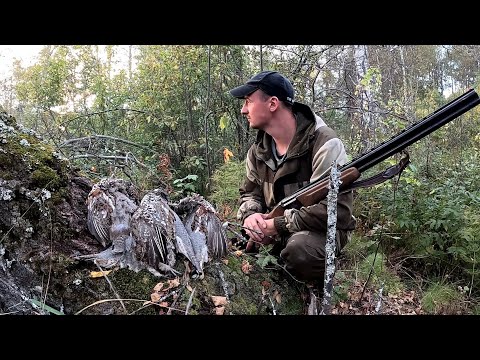 Видео: ВСТРЕЧА С МЕДВЕДЕМ😳Охота на БОРОВУЮ ДИЧЬ. На стрелял РЯБЧИКОВ! 