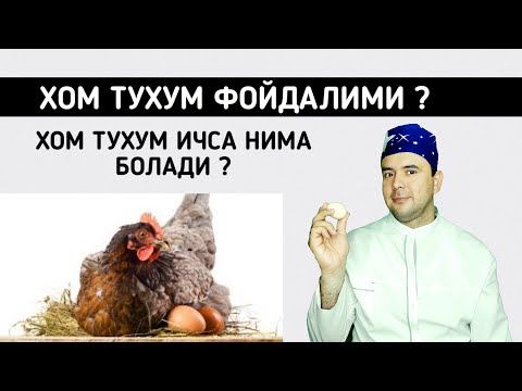Видео: ХОМ ТУХУМ ФОЙДАЛИМИ ?