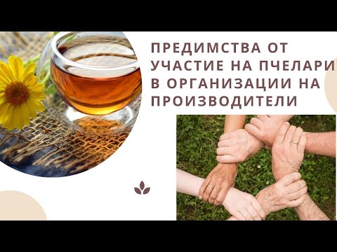 Видео: Предимства от сдружаване на пчеларите и участие в организации на производители