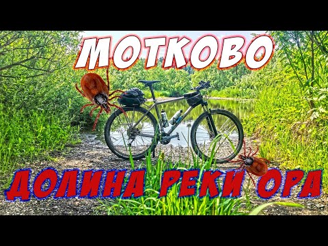 Видео: Мотково и его история, долина реки Ора и клещевая паранойя