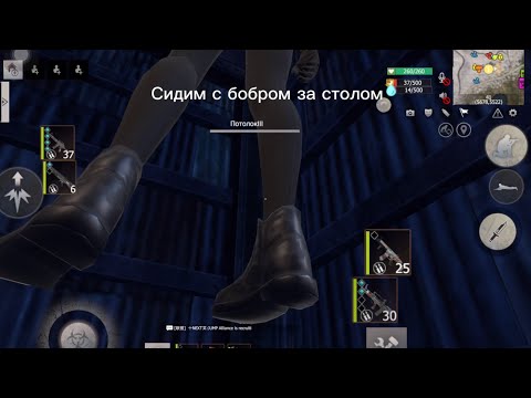 Видео: Соло выживание на SMUZZI 100$