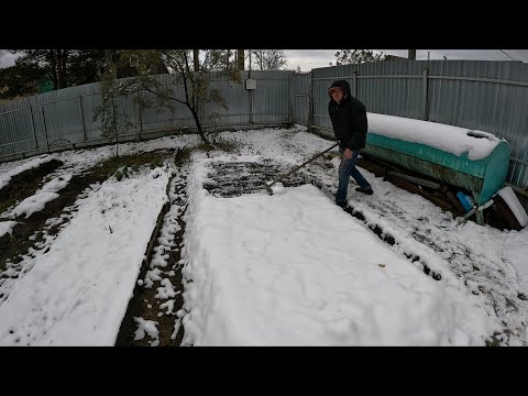 Видео: ГРАБЛЯМИ СНЕГ РАЗГРЕБАЛ И ЧЕСНОК ПОСАДИЛ. ЗАПАДНАЯ СИБИРЬ ОГОРОД ДАЧА. СЕЗОН ЗАКРЫТ 2025 ГОД.