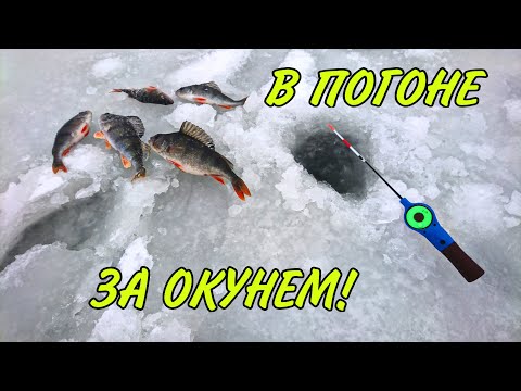 Видео: Рыбалка зимой ! Я ЕГО НАШЕЛ ! Ловля окуня на безмотылку !