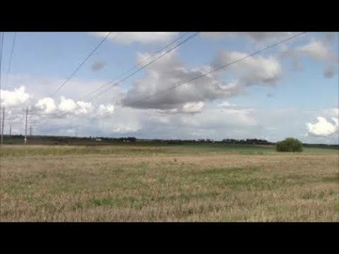 Видео: Тут всегда можно что-то найти #коп #находка