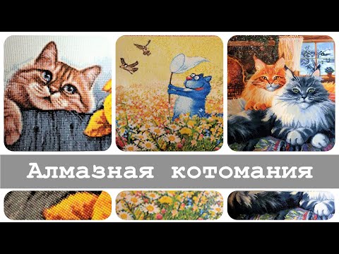 Видео: Прогулка по котомании | Алмазная вышивка и не только