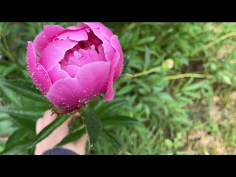 Видео: На даче. Делаем свет. Собрали кровати.