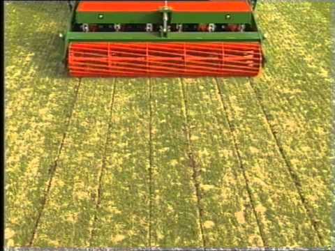 Видео: Регенерация газона компанией EUROGREEN