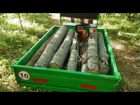 Видео: в лес за дровами