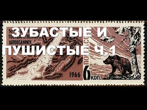 Видео: Фауна. Млекопитающие ч. 1