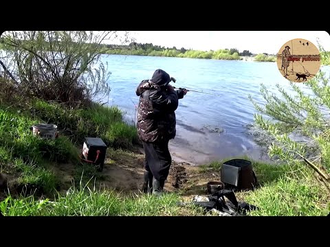 Видео: На что поменять крокодил?.Тест новой палки для донки.Сamping ,fishing,bushcraft