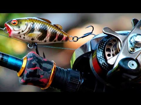 Видео: Товары для рыбалки с Aliexpress 20 покупаемых товаров