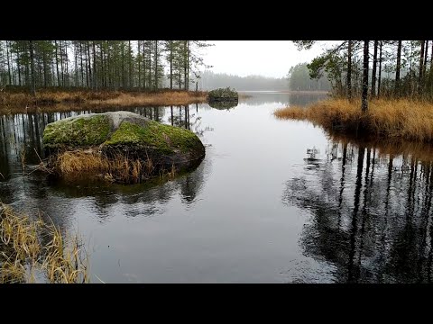 Видео: Рыбалка в Карелии 2021 (начало)