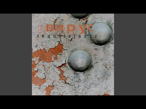 Видео: Звери