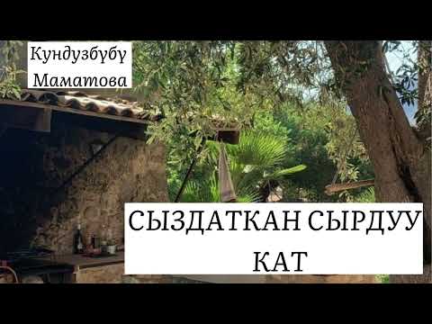 Видео: СЫЗДАТКАН СЫРДУУ КАТ/ Кундузбүбү Маматова / Аудио китеп