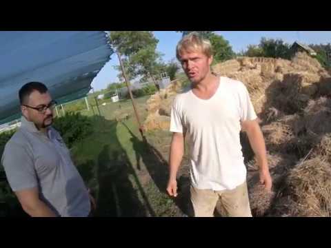 Видео: Природное земледелие в промышленных объёмах на примере ремонтантной малины
