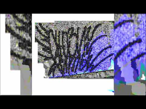Видео: Сьюзи Ритмы - Грани (2025)