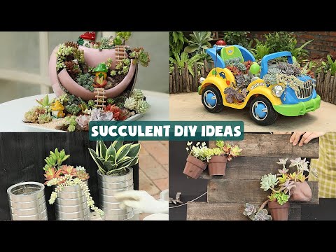 Видео: 19 сочных идей DIY