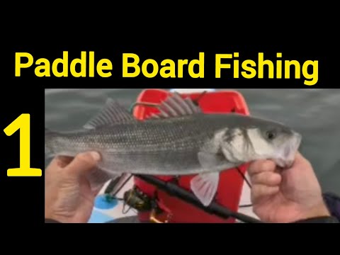 Видео: Ловля рыбы на приманку с SUP-доски