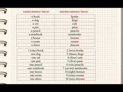 Видео: Видео 7. Единственное и множественное число. Singular and plural.