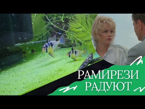 Видео: Рамирези радуют