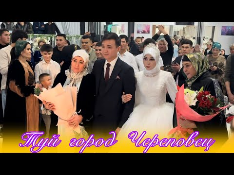 Видео: Туй город Череповец 26,09,2025