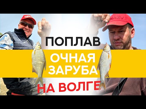 Видео: Два ПОПЛАВОЧНИКА на ВОЛГЕ! Кто КОГО?!