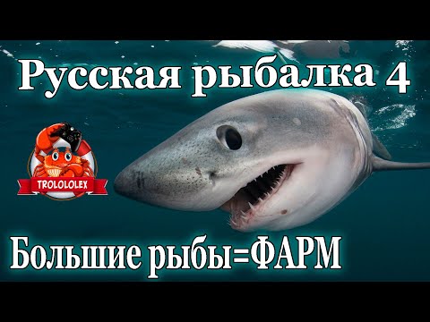 Видео: Русская рыбалка 4 Огромная рыба чуть не оборвала мне снасти! Мега фарм на Норвежском море