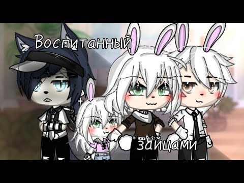 Видео: Воспитанный зайцами| Озвучка мини-фильма гача лайф|Яой|