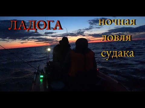 Видео: Ладога. Креницы. Ночная ловля судака.
