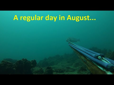 Видео: Един обикновен ден - подводен риболов в Черно Море през август