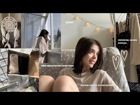 Видео: самый лучший переезд