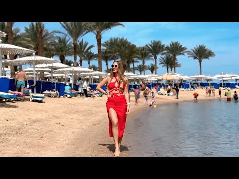 Видео: Египет 2025 ЭКОНОМ отель без акул Swiss Inn Resort Хургада Отдых в Египте