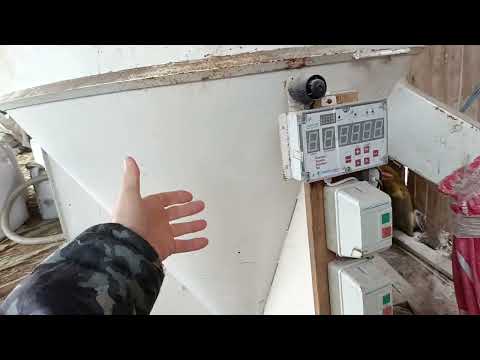 Видео: Наша фуражная система