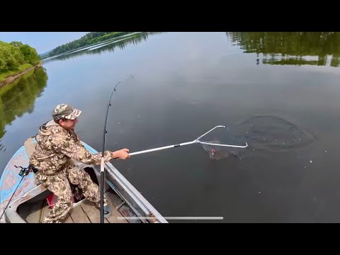 Видео: РЫБАЧИМ НА СПИННИНГИ. НАТКНУЛИСЬ НА ТОННЫ МЕТАЛЛА ПОД ВОДОЙ. ДОМАШНИЕ ДЕЛА В ДЕРЕВНЕ.
