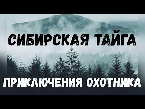 Видео: Сибирская тайга. Приключения охотника.
