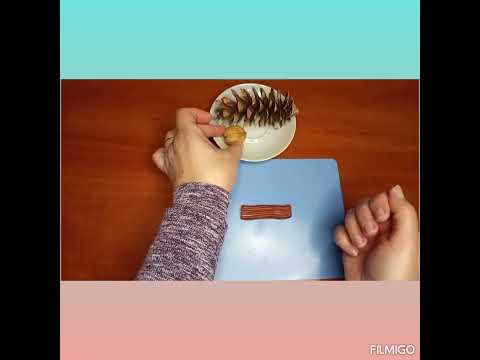 Видео: Ліплення ''Горішки для білочки''